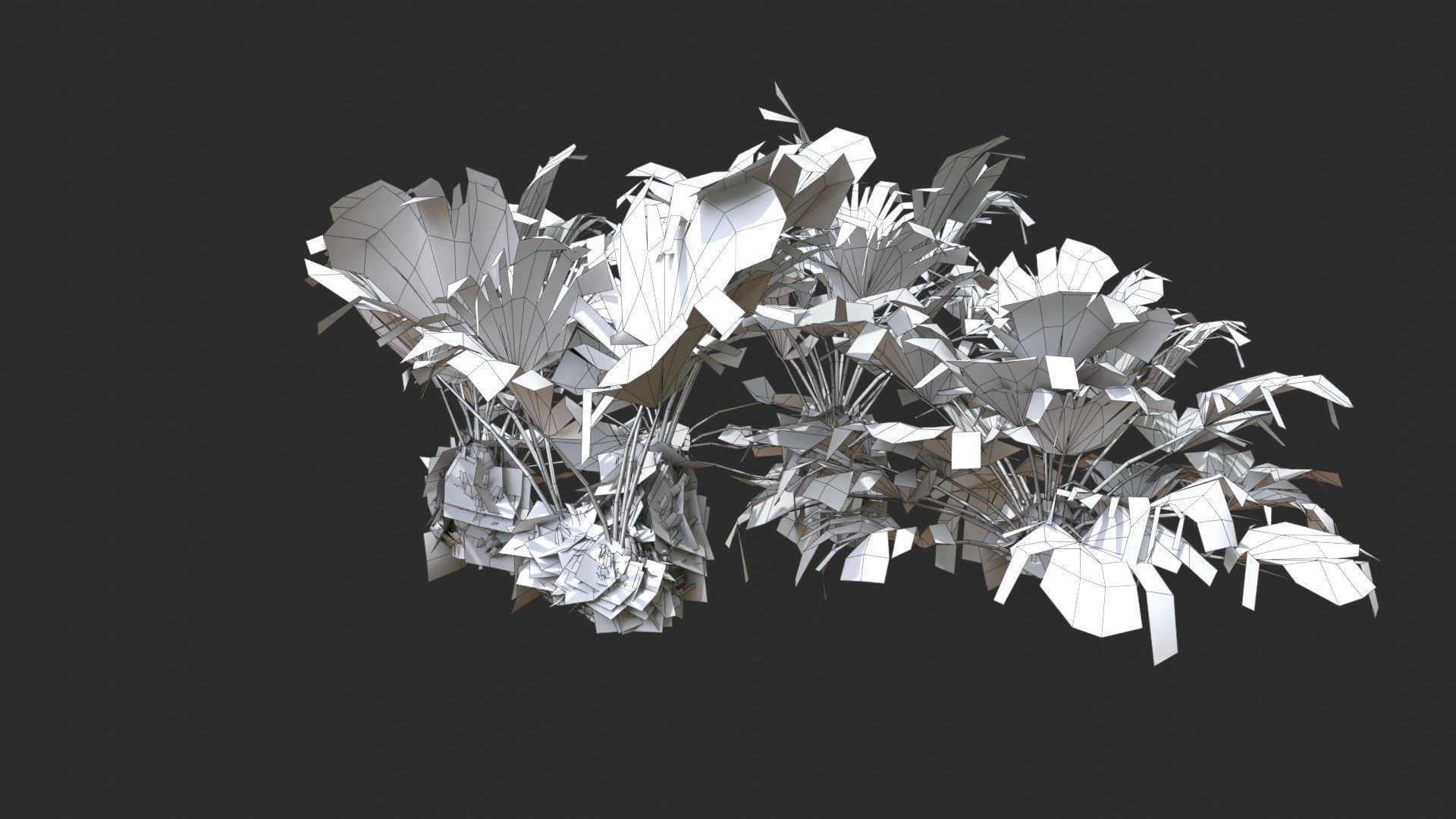 Modular Needle Palm Tree - Rhapidophyllum Hystrix Low-poly 3D model_19