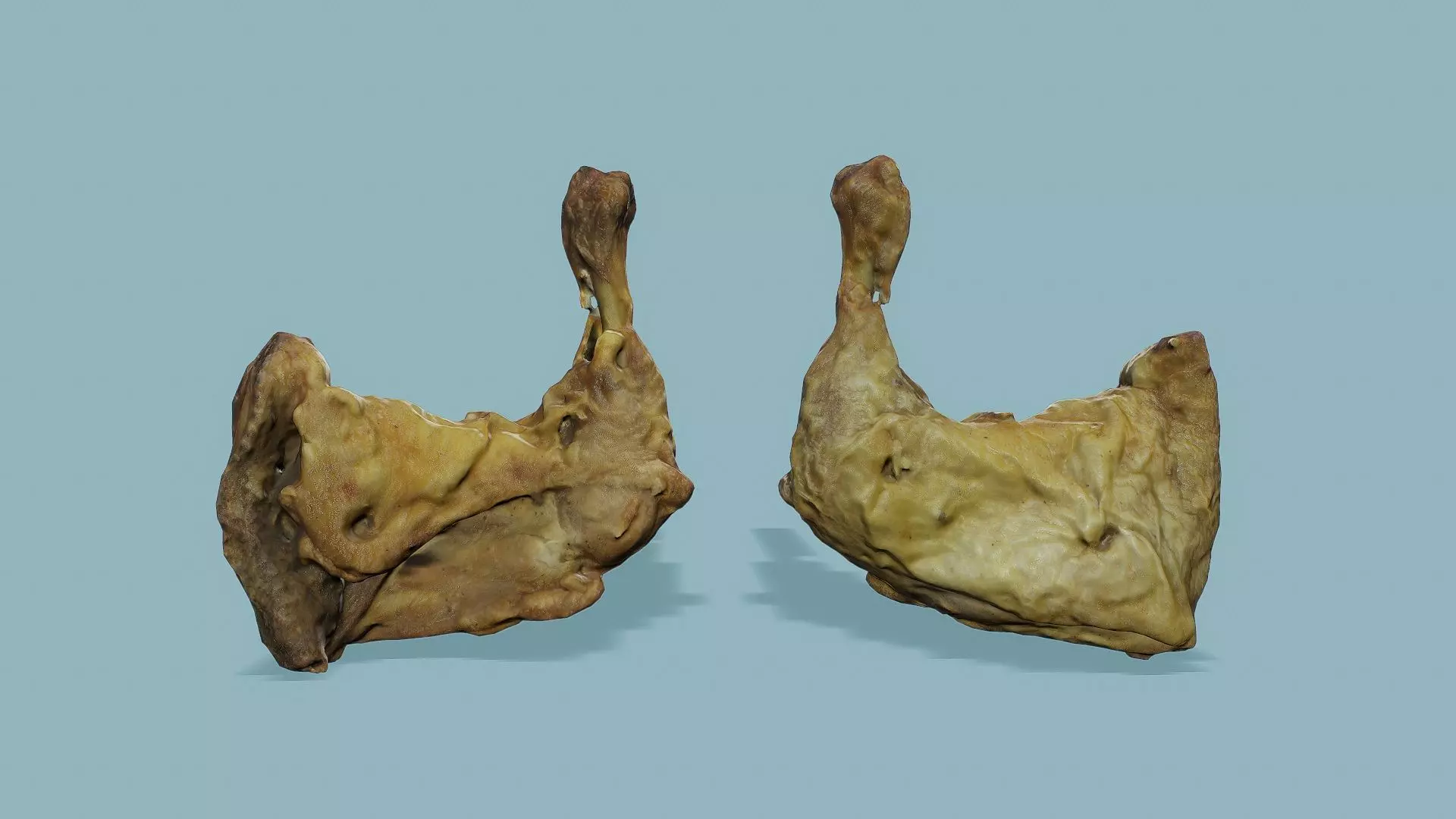 3D Scan Smoked Chicken Leg 02 Free low-poly 3D model