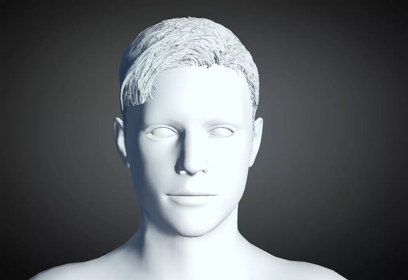 3D Hair style for Man 11 3D print model_0