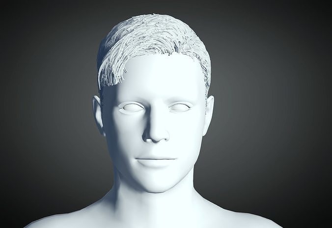 3D Hair style for Man 11 3D print model