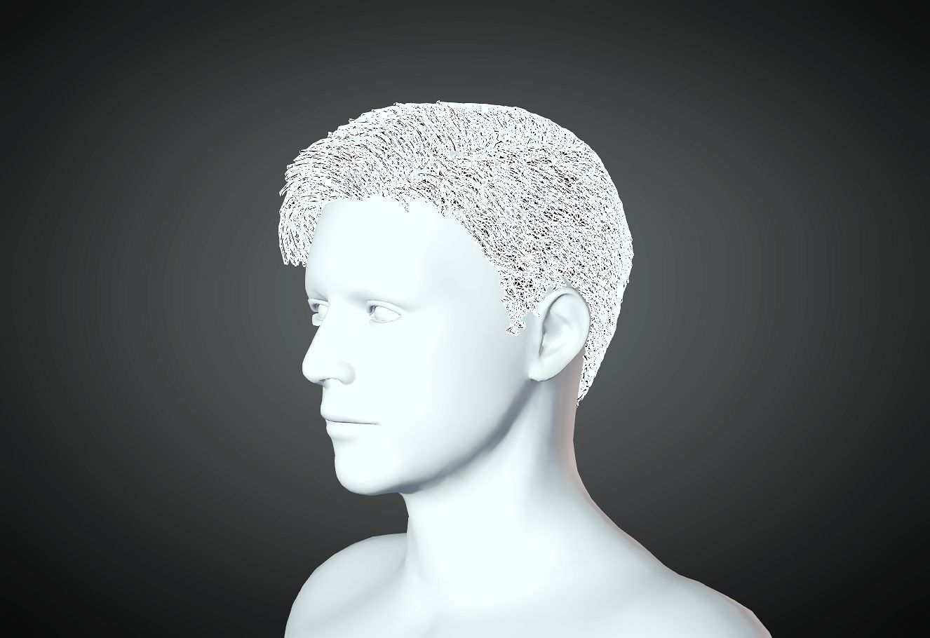 3D Hair style for Man 11 3D print model_3