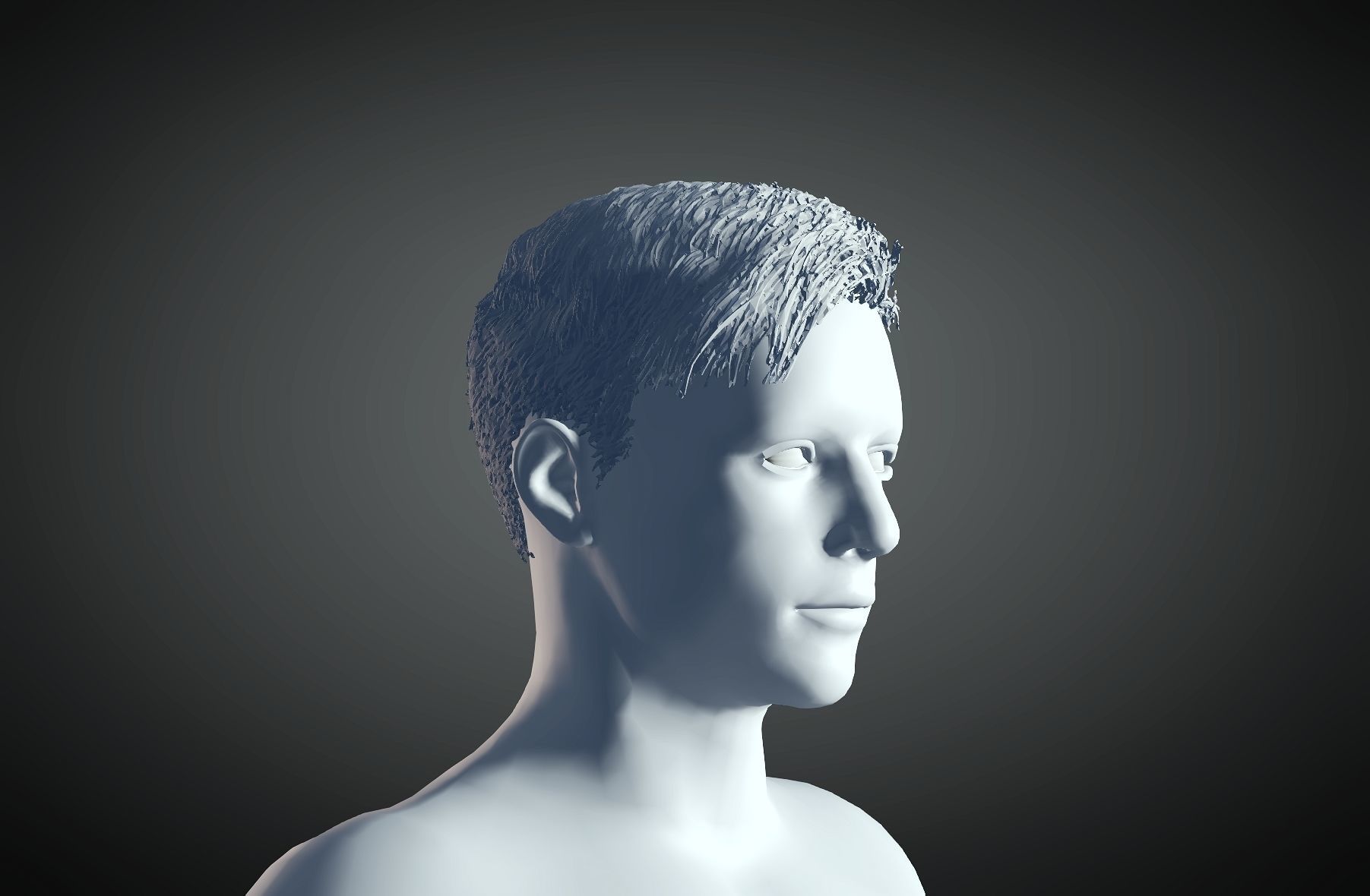 3D Hair style for Man 11 3D print model_1