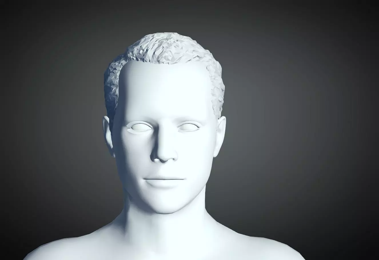 3D Hair style for Man 12  3D print model_0