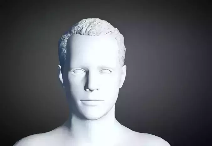 3D Hair style for Man 12  3D print model
