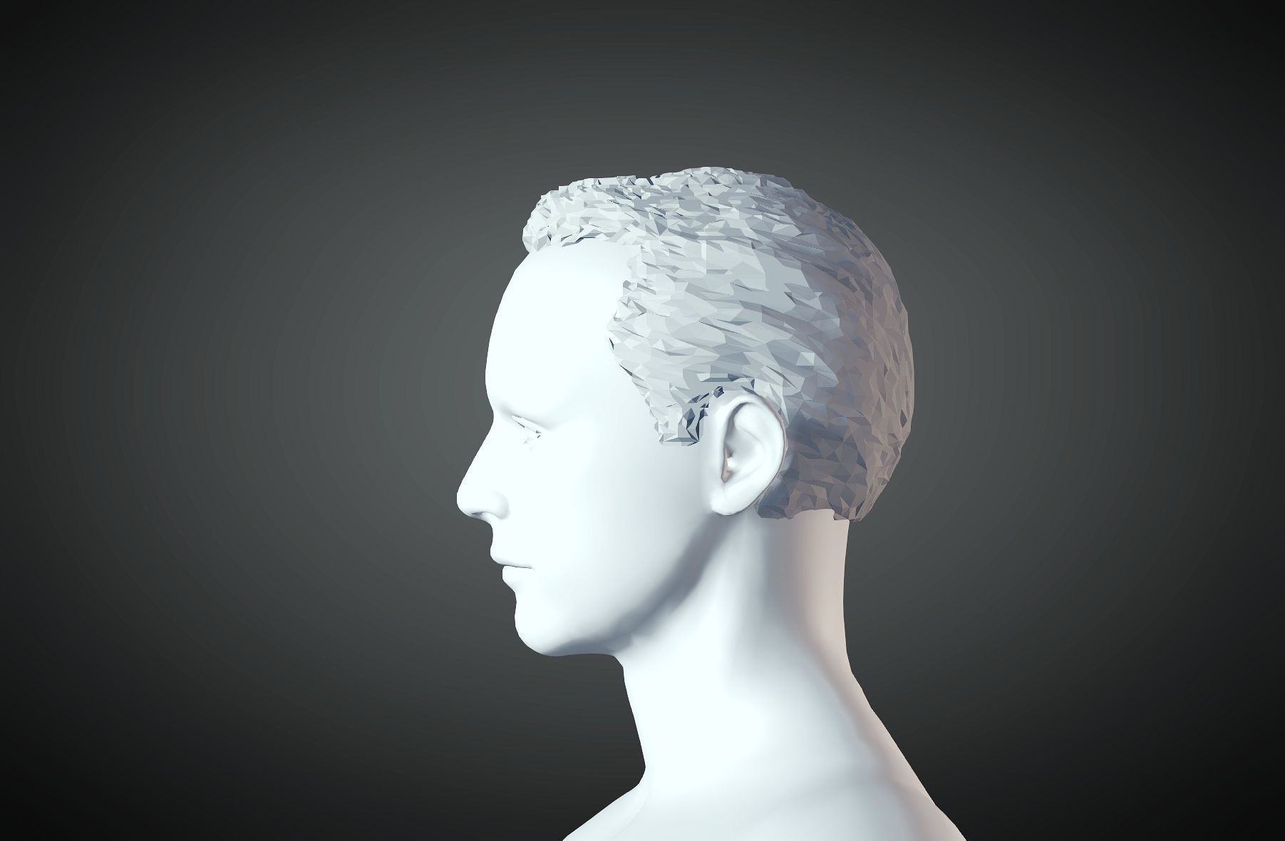 3D Hair style for Man 12  3D print model_1