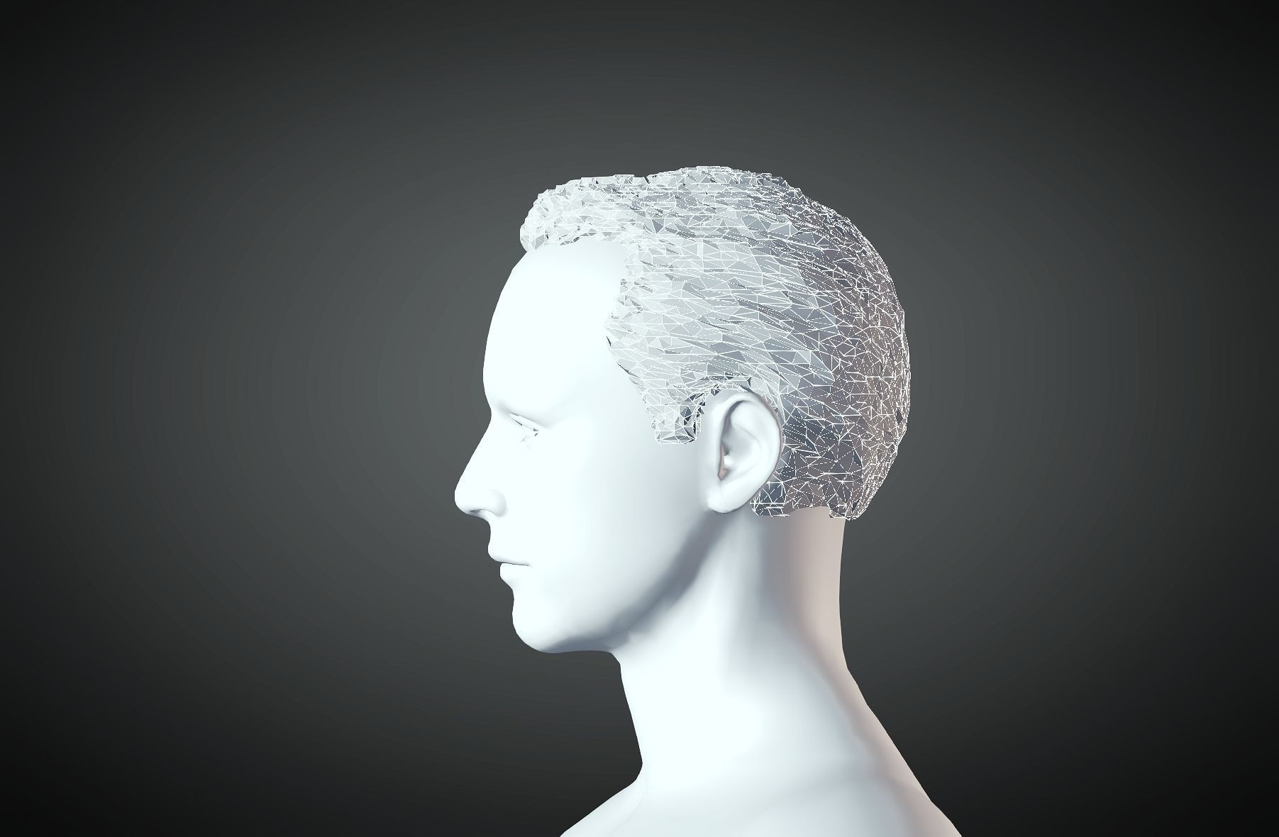 3D Hair style for Man 12  3D print model_5