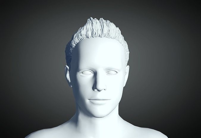 3D Hair style for Man 13 3D print model