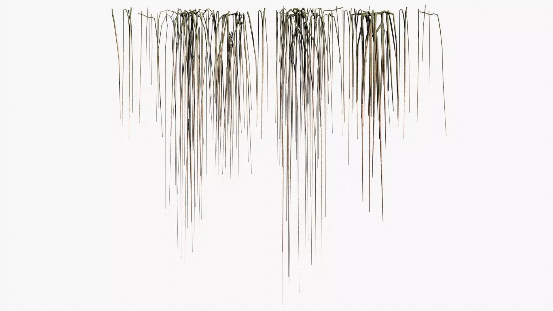 Root Vines Fall Low-poly 3D model_0