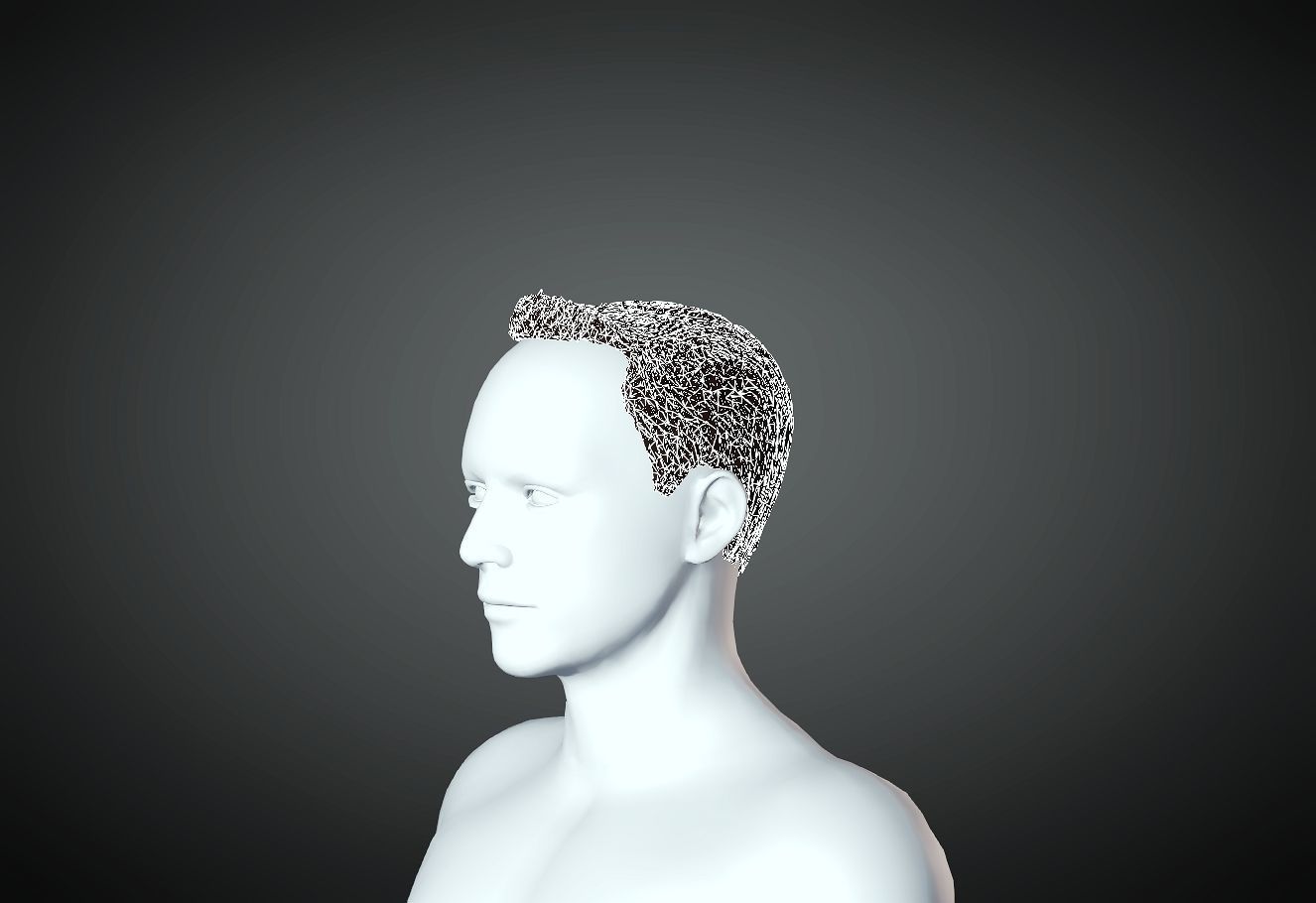 3D Hair style for Man 14 3D print model_2