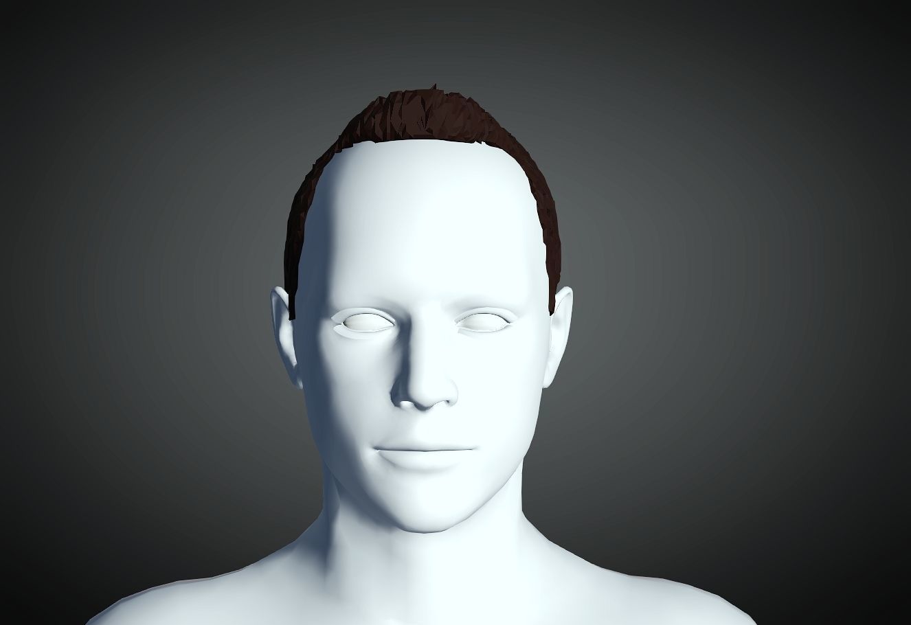 3D Hair style for Man 14 3D print model_1