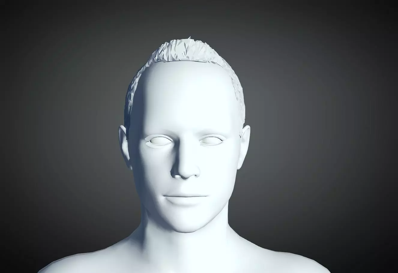 3D Hair style for Man 14 3D print model_0