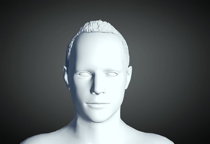 3D Hair style for Man 14 3D print model