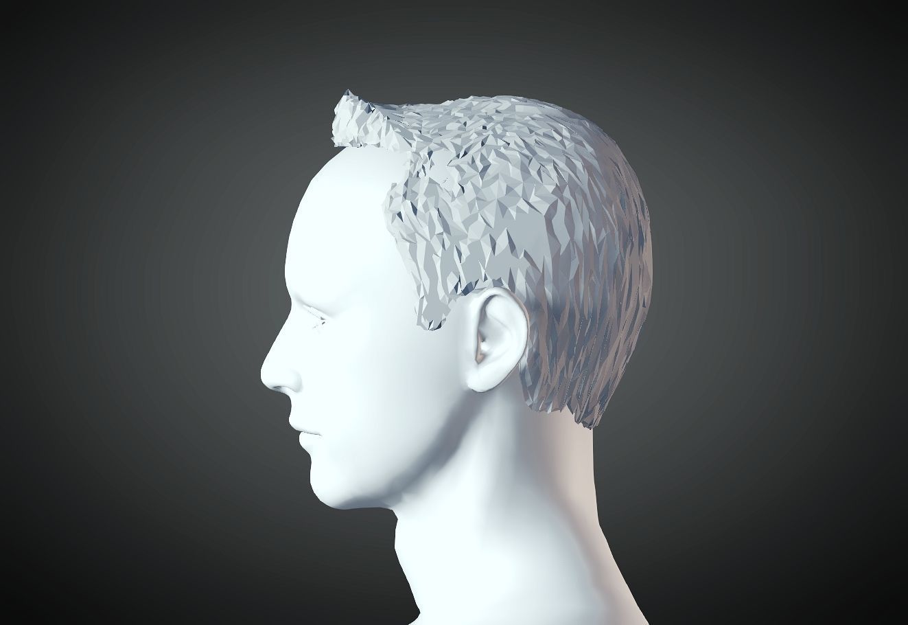 3D Hair style for Man 14 3D print model_3