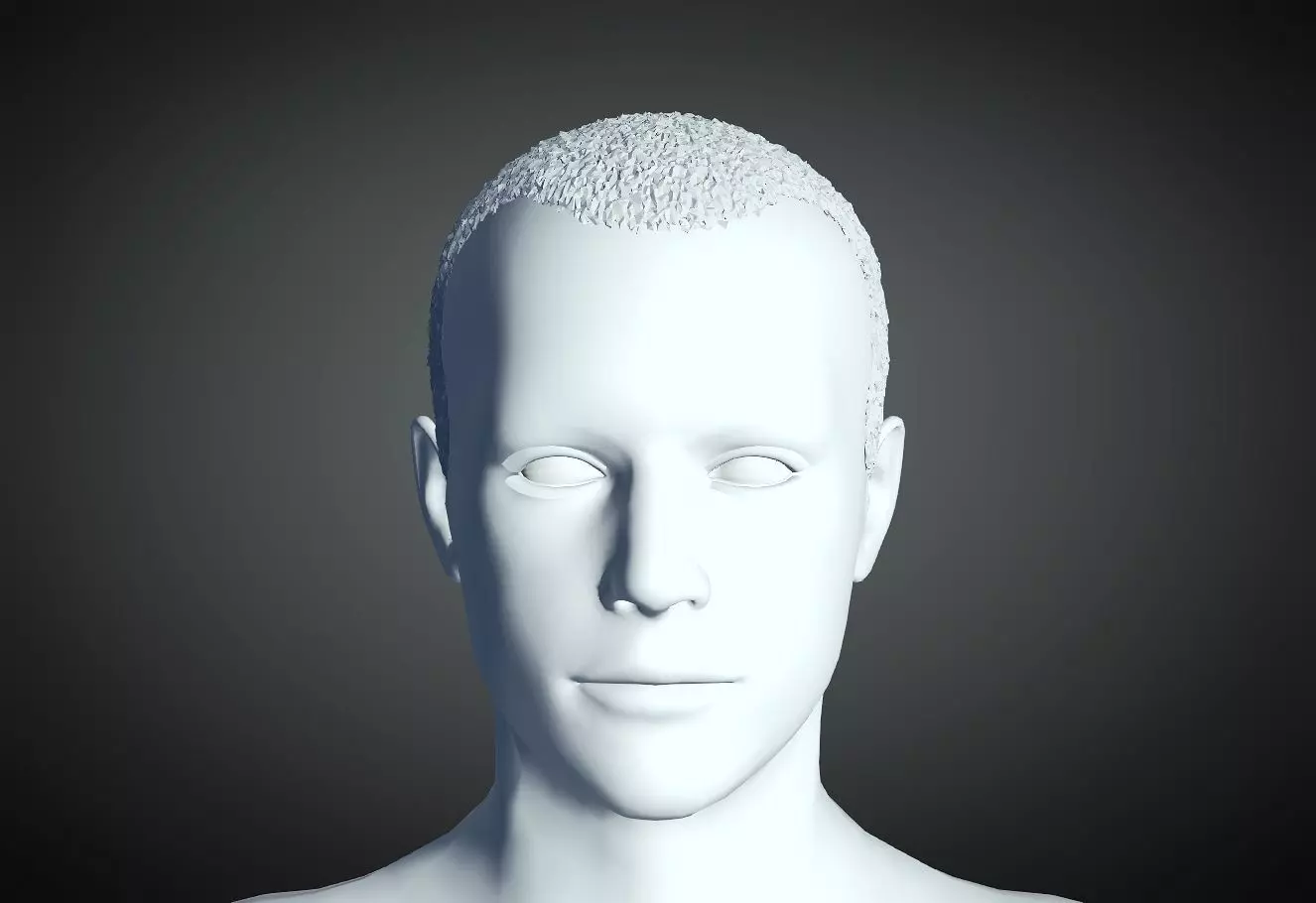 3D Hair style for Man 15 3D print model_0