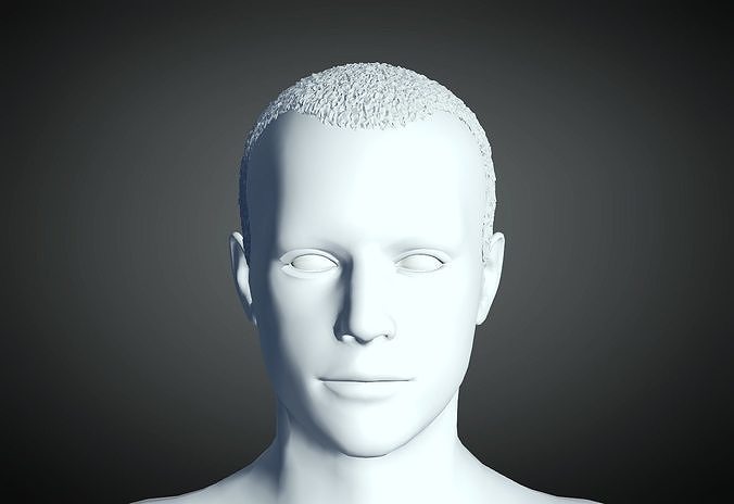 3D Hair style for Man 15 3D print model