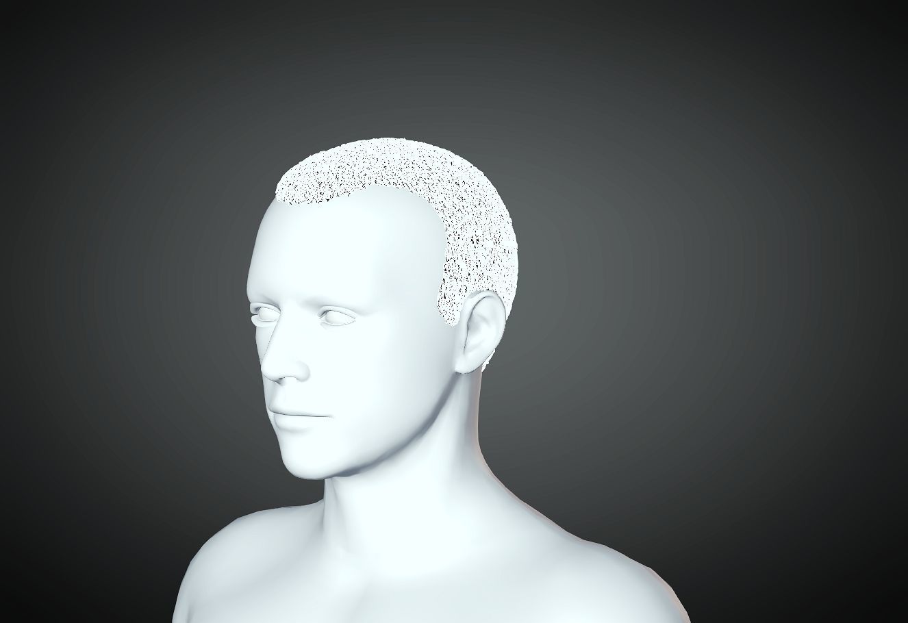 3D Hair style for Man 15 3D print model_2
