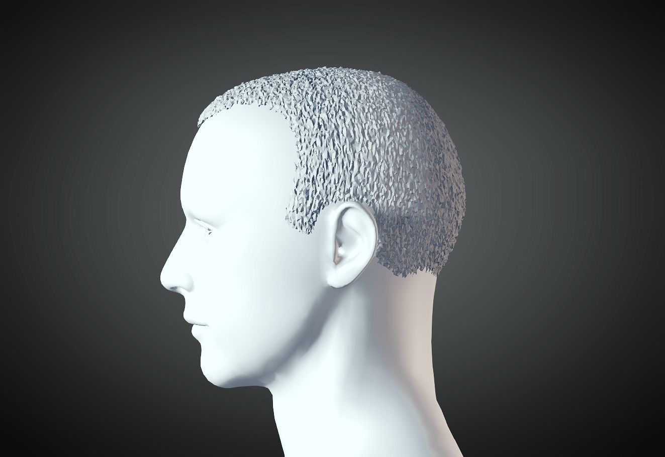 3D Hair style for Man 15 3D print model_3