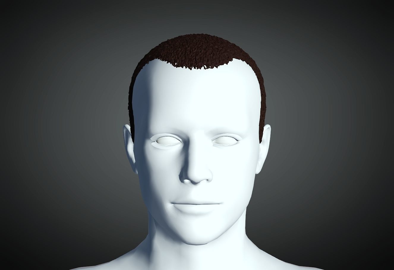 3D Hair style for Man 15 3D print model_1