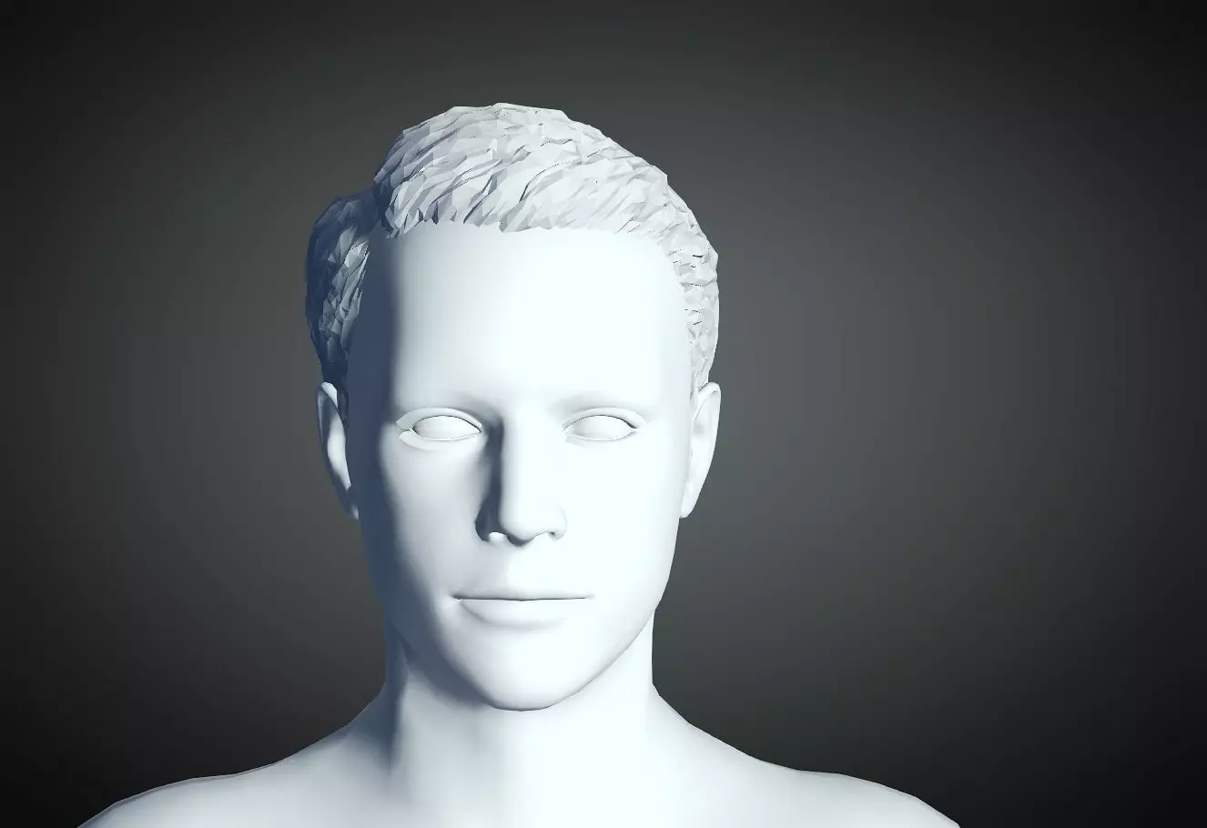 3D Hair style for Man 16 3D print model_0