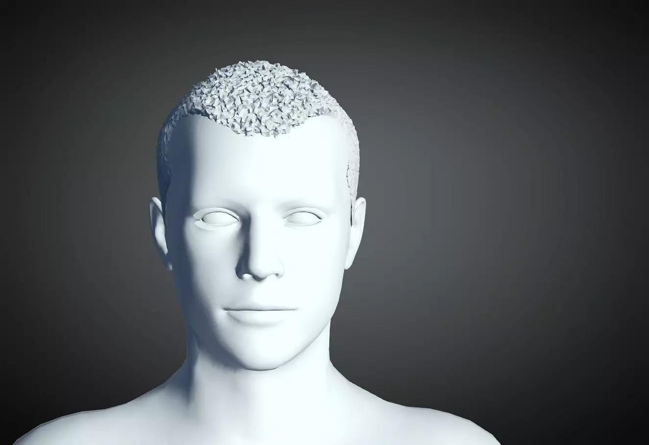 3D Hair style for Man 17 3D print model_0