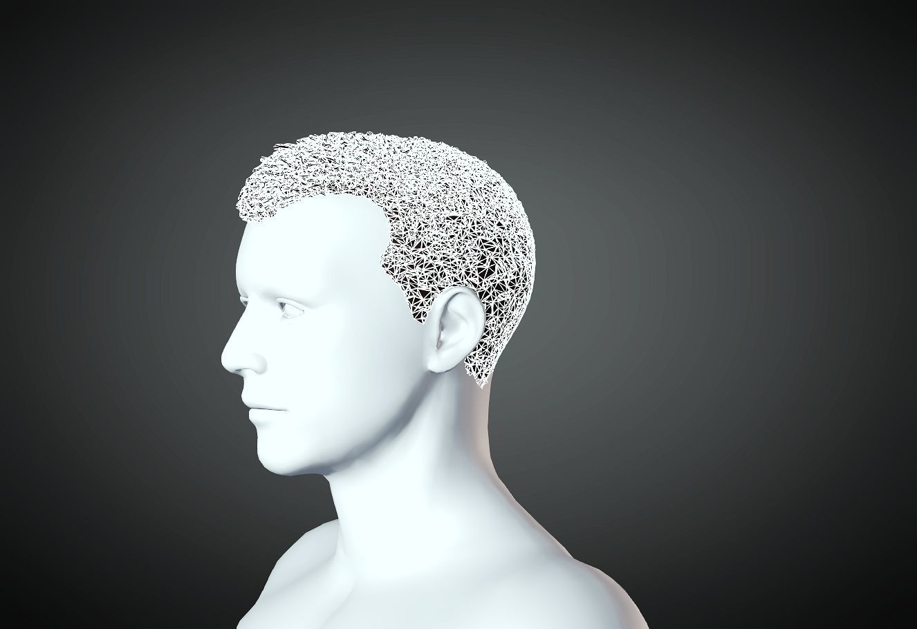 3D Hair style for Man 17 3D print model_2