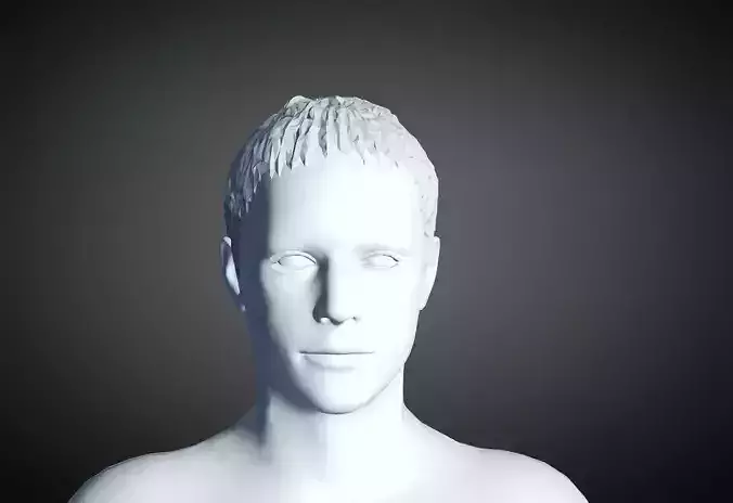 3D Hair style for Man 18 3D print model | 3D Print Model - 3D model önizlemesi