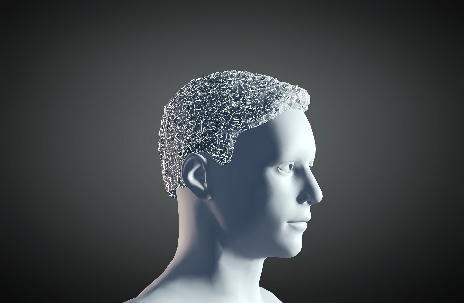 3D Hair style for Man 19 3D print model_4