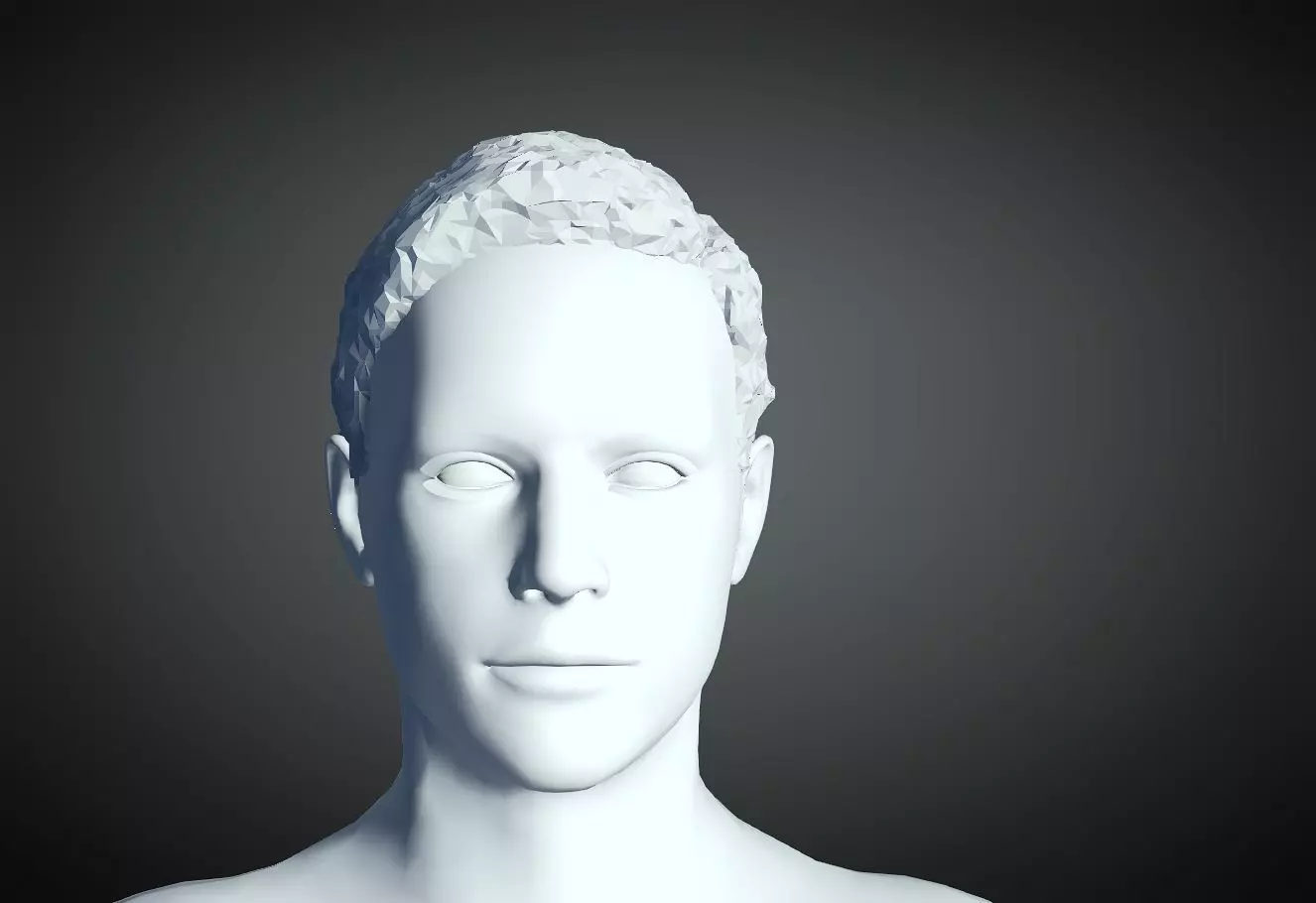 3D Hair style for Man 19 3D print model_0