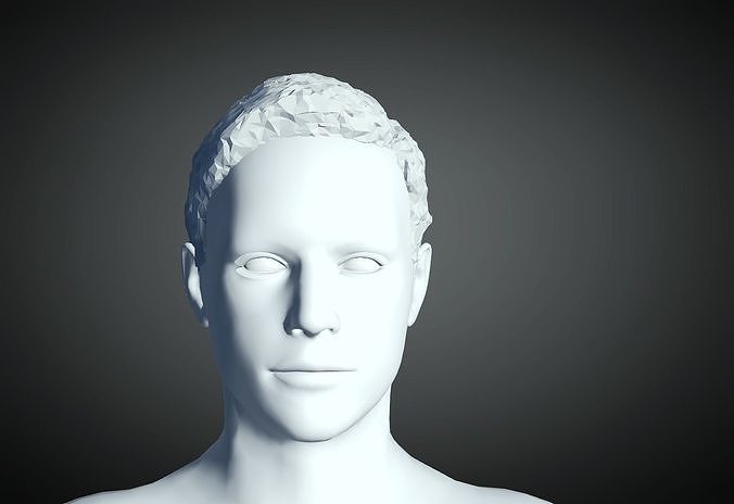3D Hair style for Man 19 3D print model