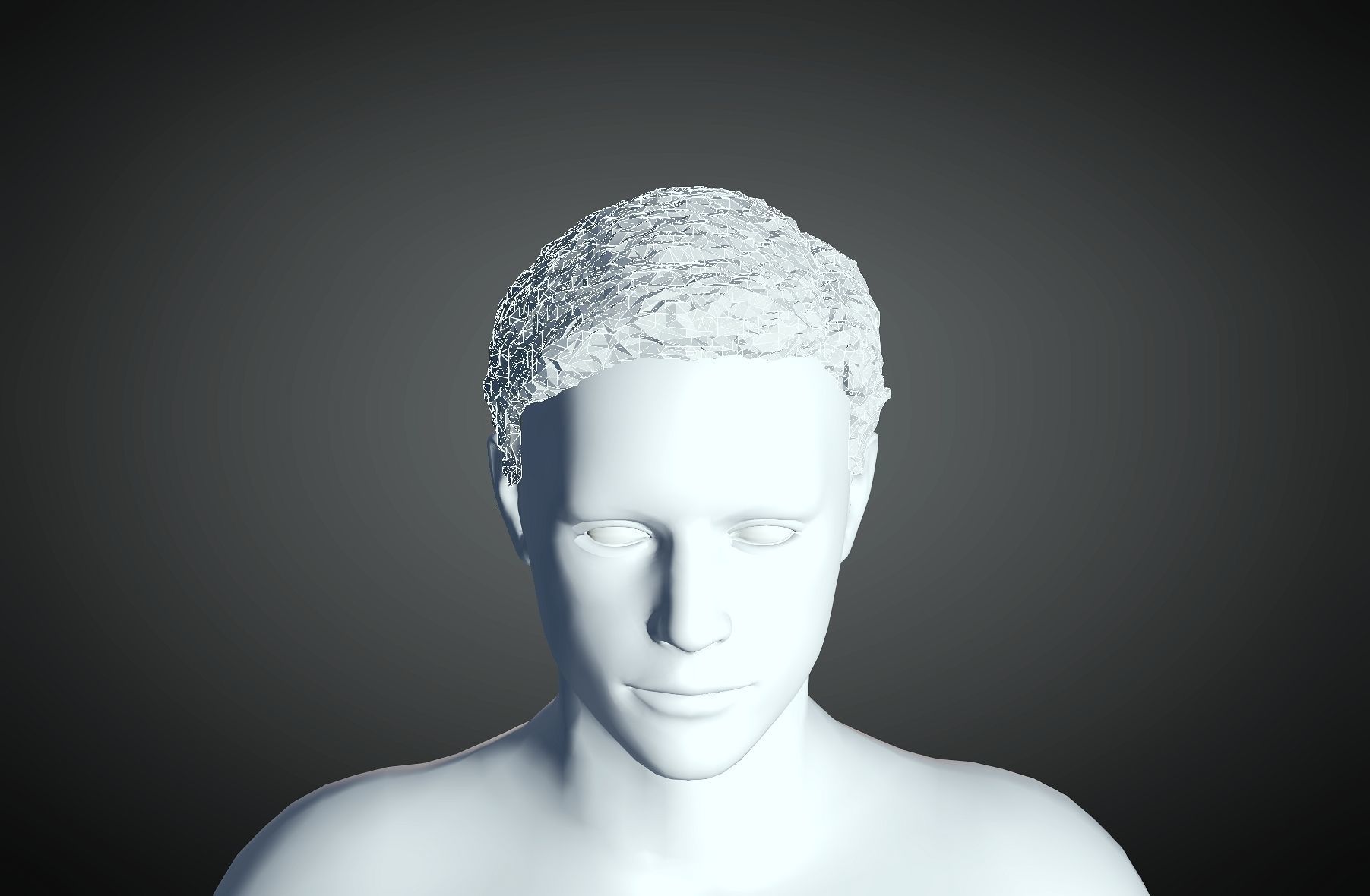 3D Hair style for Man 19 3D print model_3