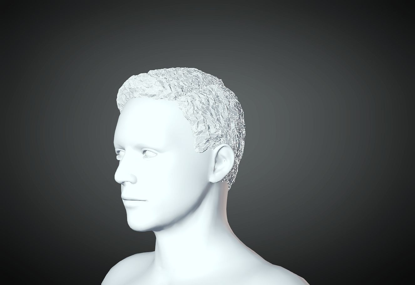 3D Hair style for Man 19 3D print model_2