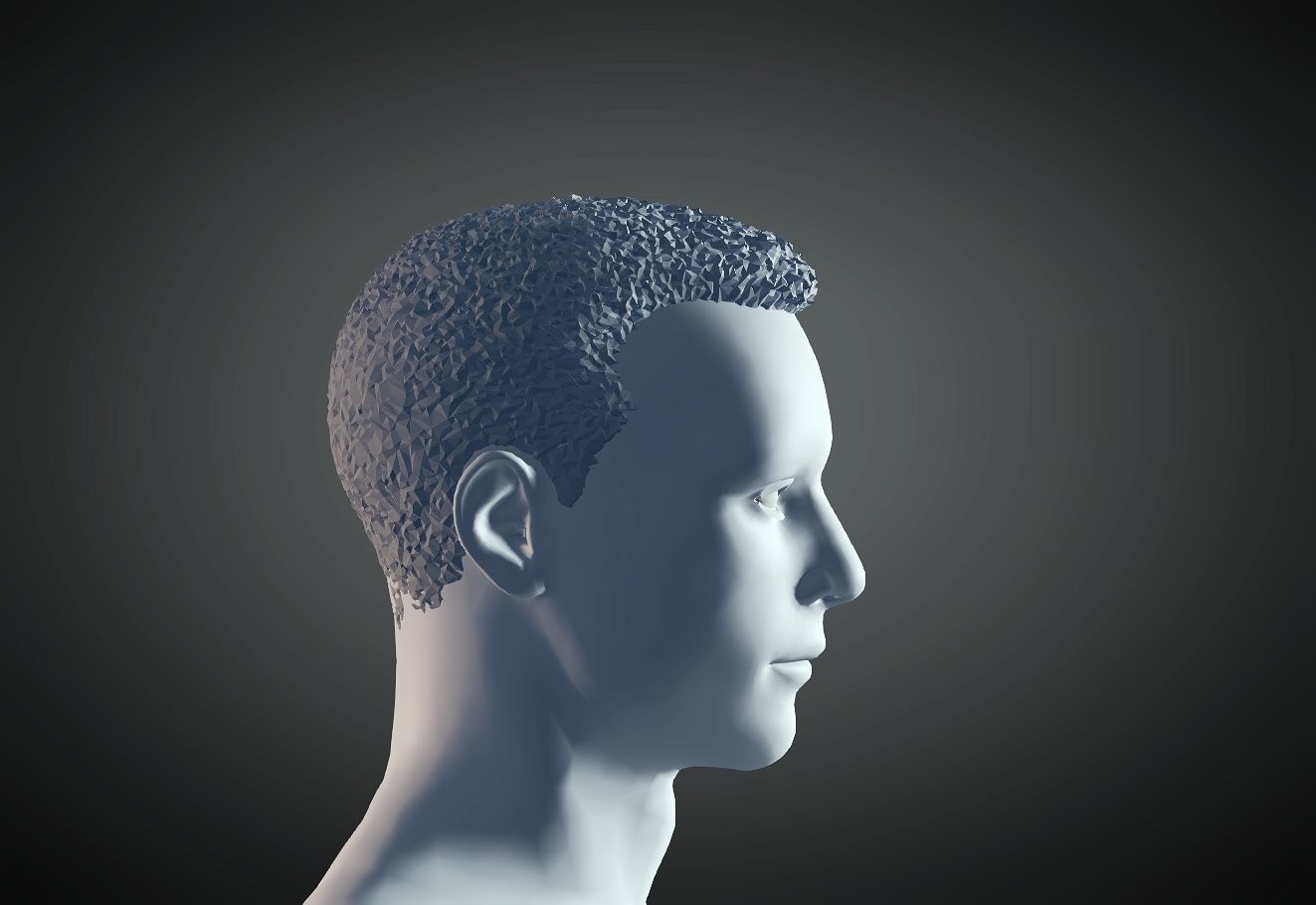 3D Hair style for Man 20 3D print model 3D print model_4