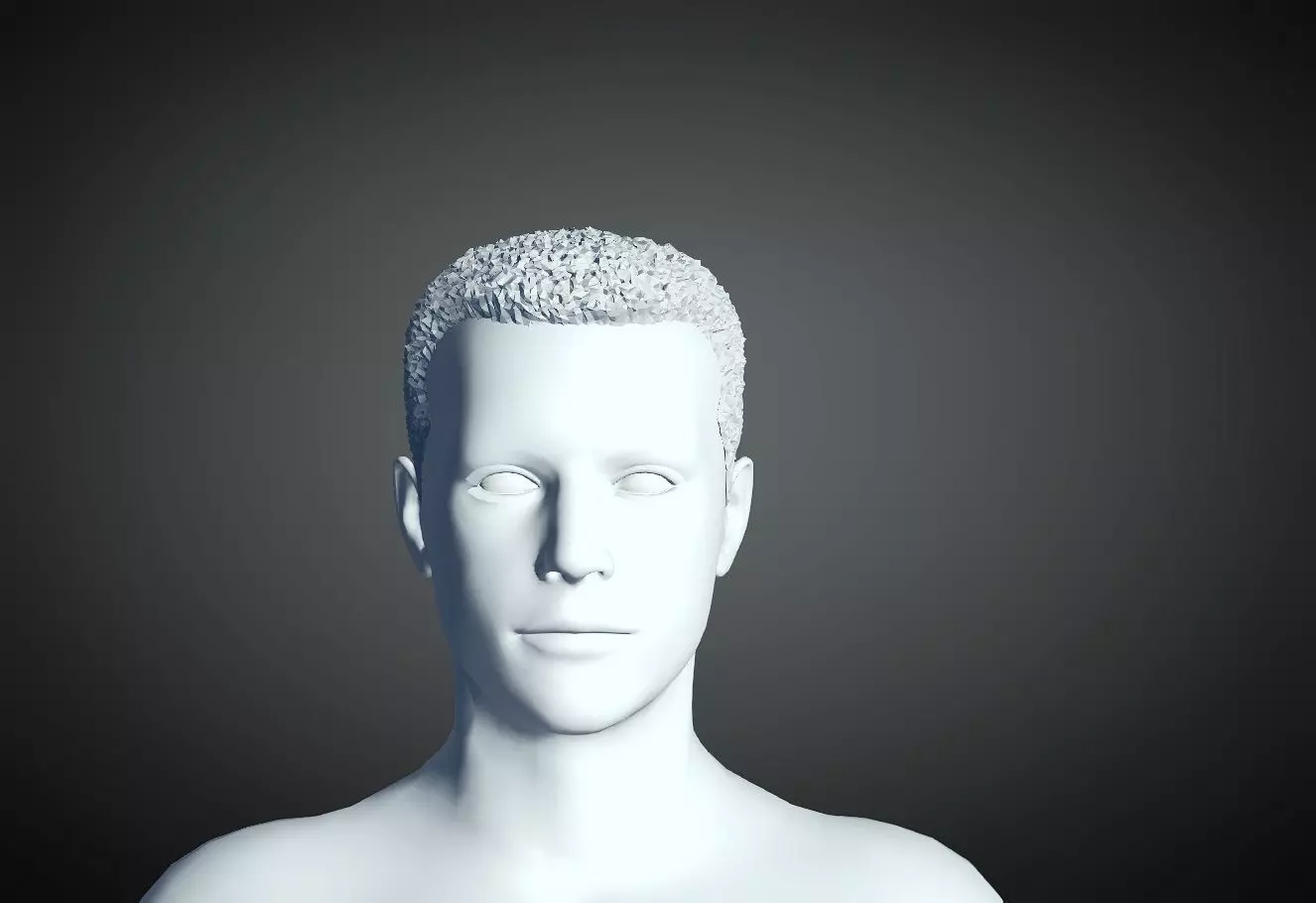 3D Hair style for Man 20 3D print model 3D print model_0