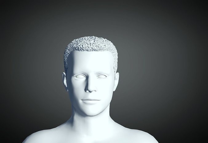 3D Hair style for Man 20 3D print model 3D print model