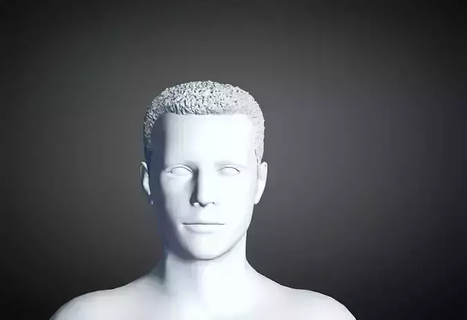 3D Hair style for Man 20 3D print model