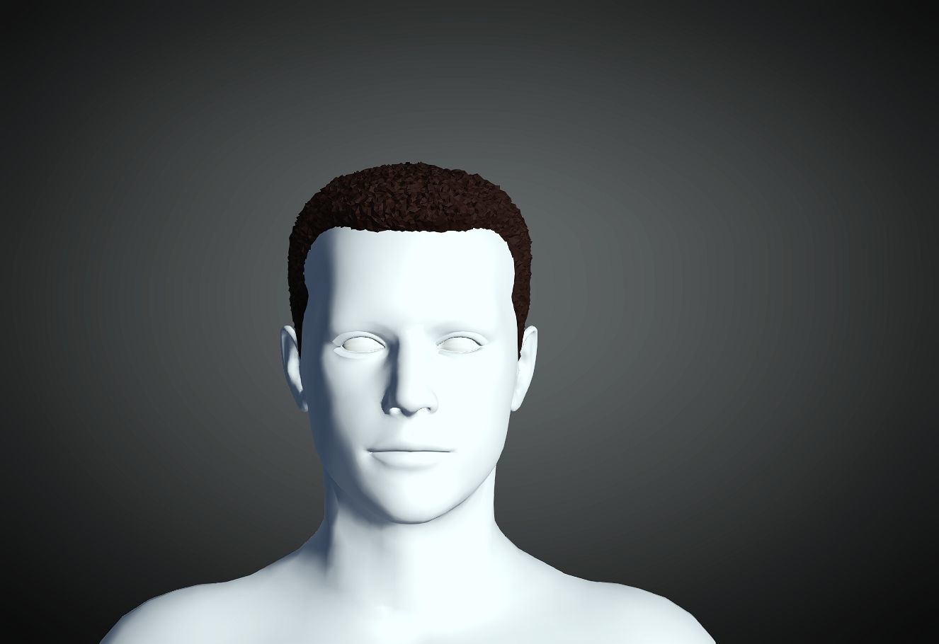 3D Hair style for Man 20 3D print model 3D print model_1