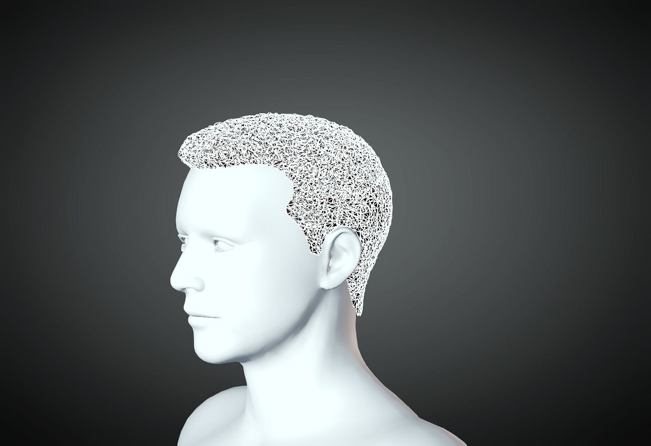 3D Hair style for Man 20 3D print model 3D print model_2