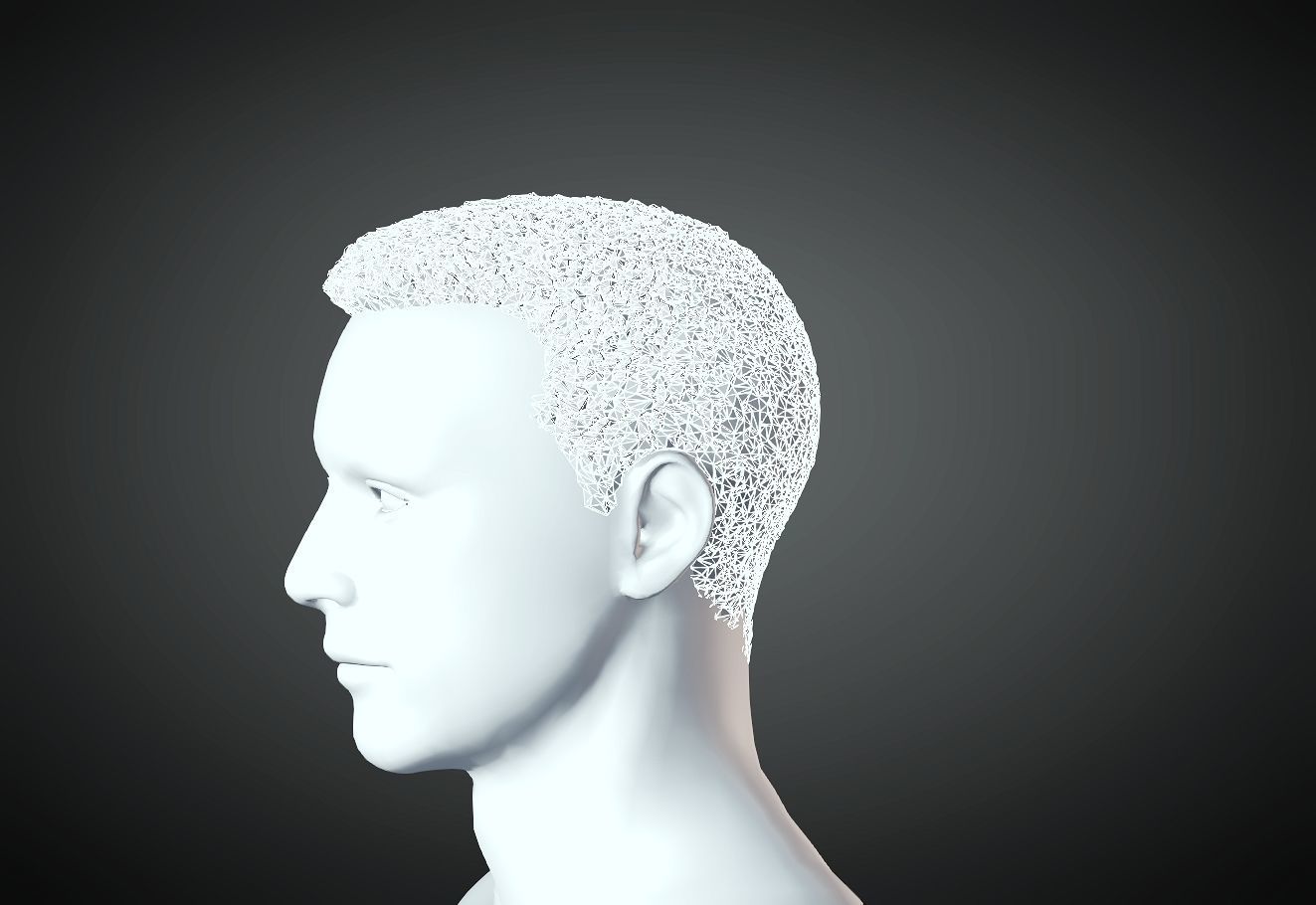 3D Hair style for Man 20 3D print model 3D print model_3