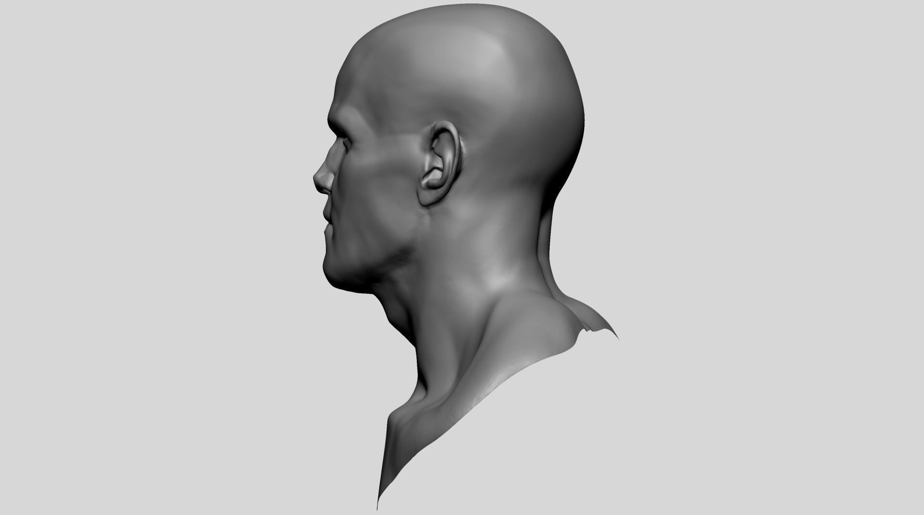 Male Head B 3D model_5