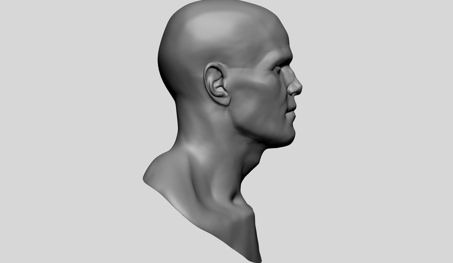 Male Head B 3D model_2