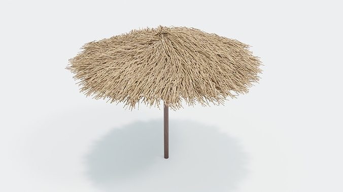 Bamboo Parasol 3D model