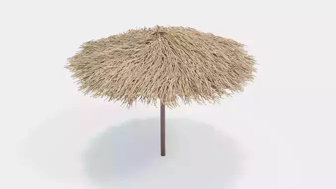 Bamboo Parasol 3D model