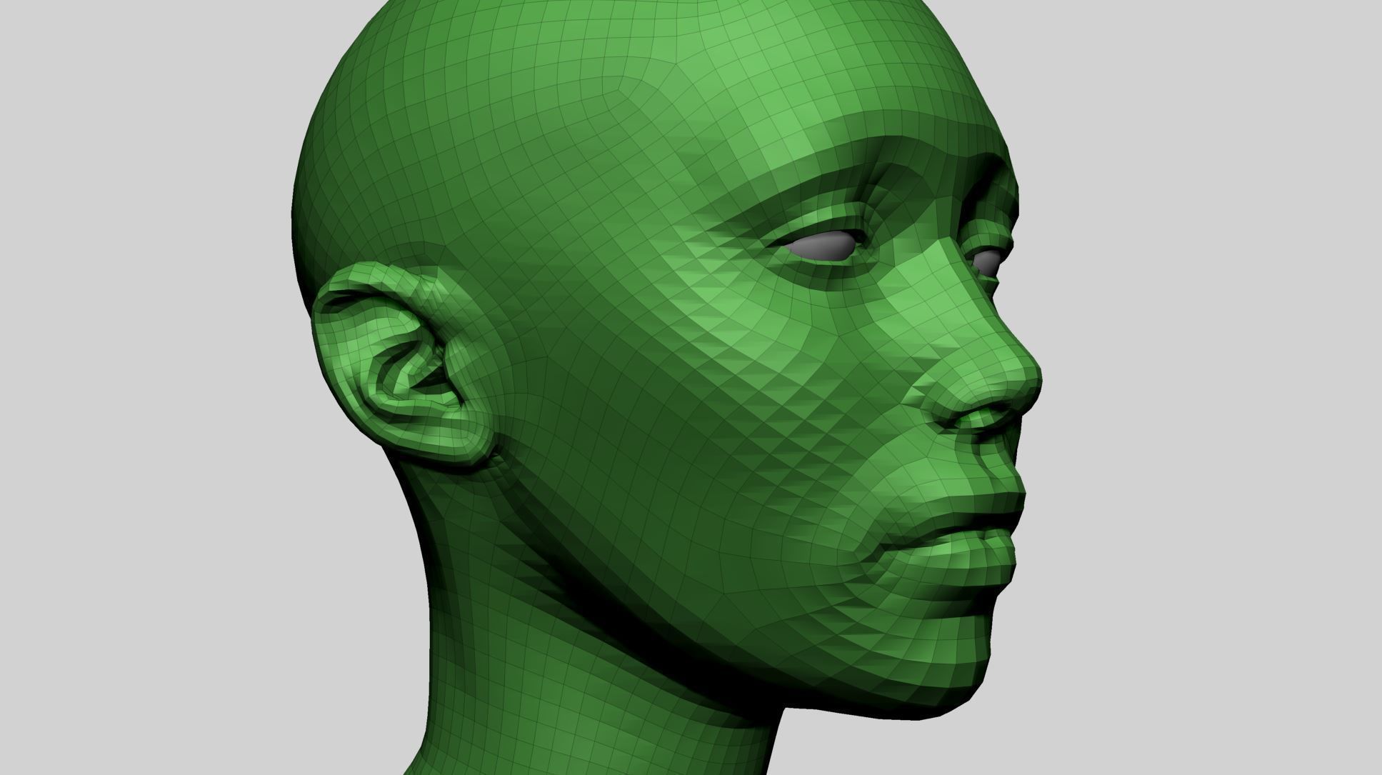 Female Head B 3D model_12