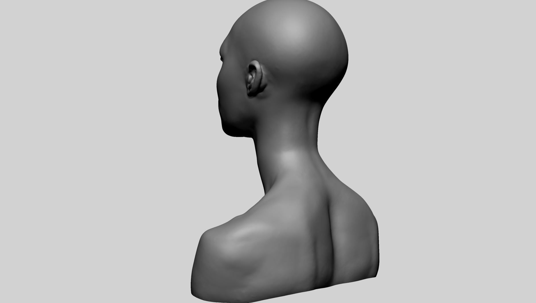 Female Head B 3D model_5
