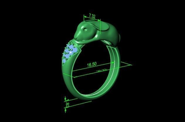 ring hare carrot-eared rabbit 3D print model_30