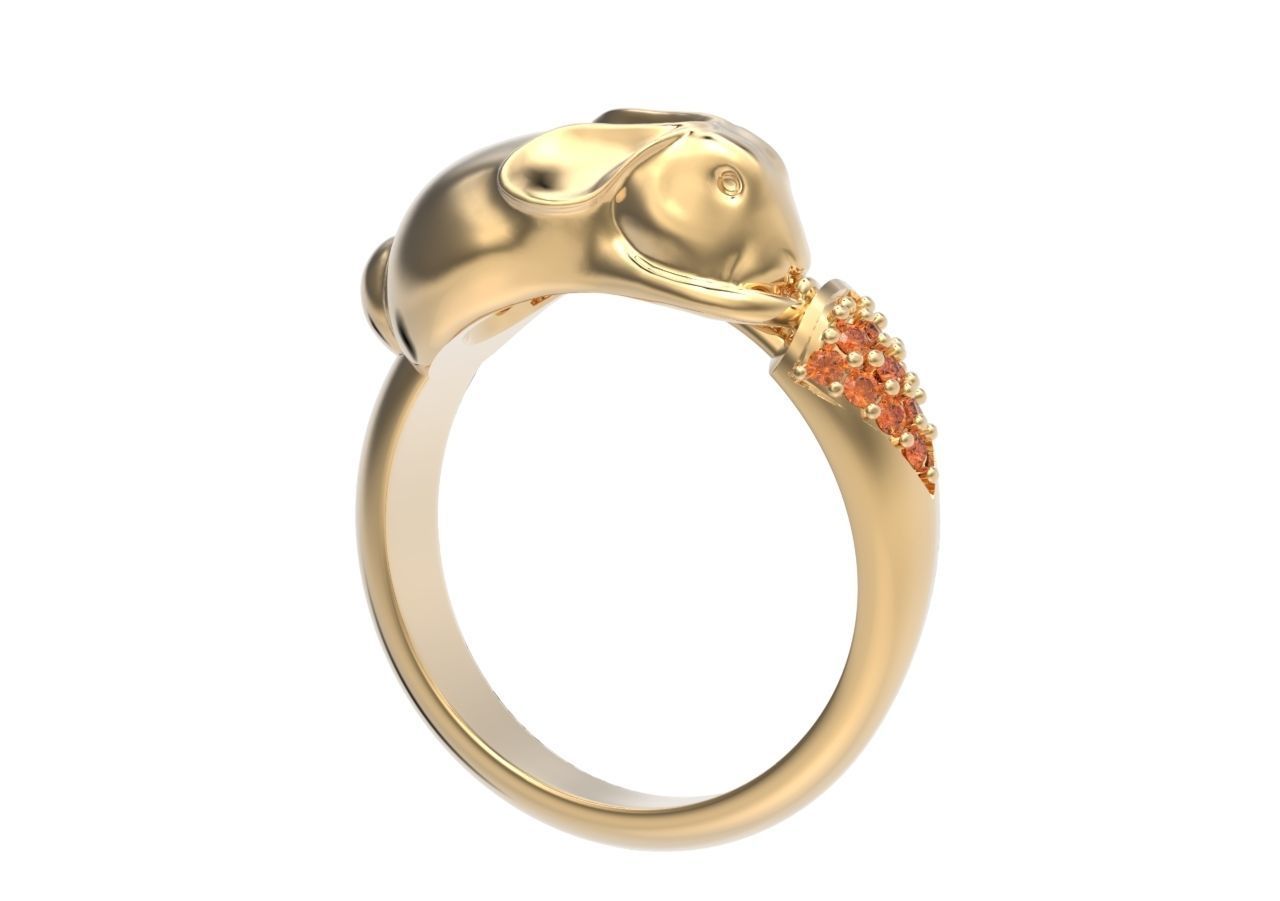 ring hare carrot-eared rabbit 3D print model_24