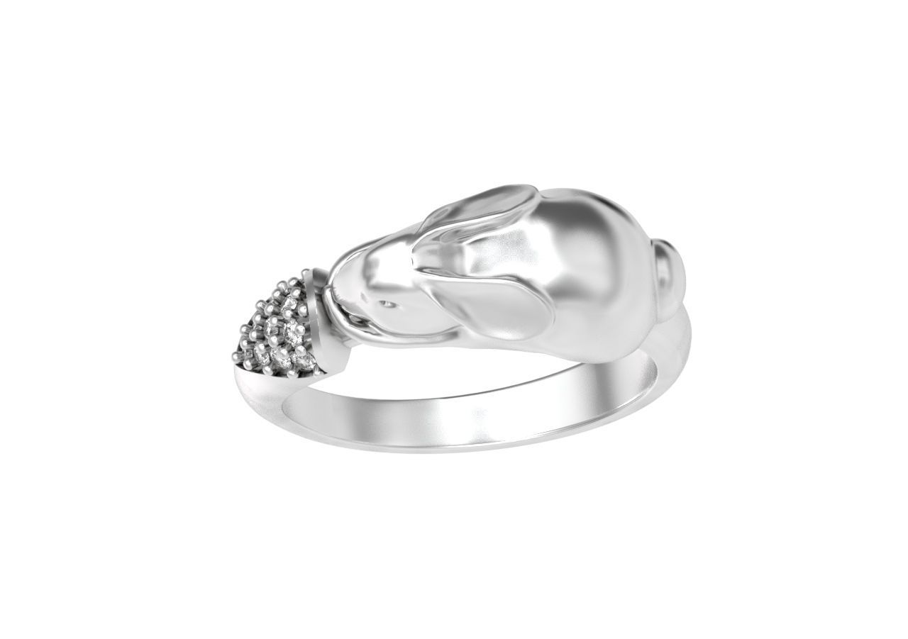 ring hare carrot-eared rabbit 3D print model_22