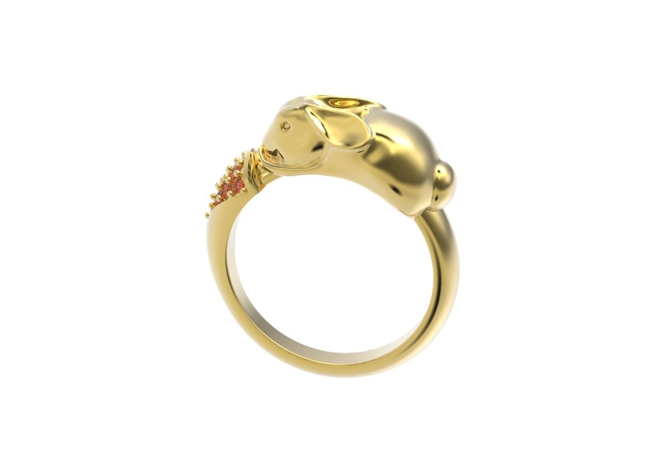 ring hare carrot-eared rabbit 3D print model_10