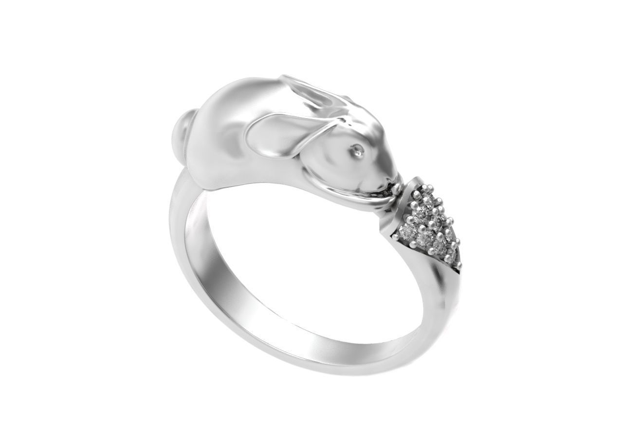 ring hare carrot-eared rabbit 3D print model_19