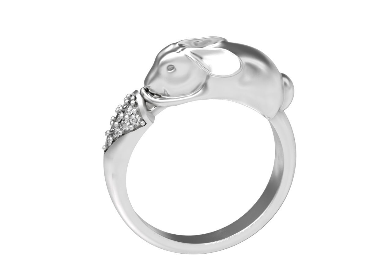 ring hare carrot-eared rabbit 3D print model_21
